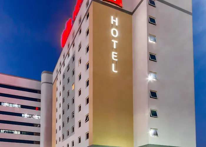 Ibis Marilia